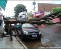 Imagem de Chuva e vento causam estragos em Rio Verde