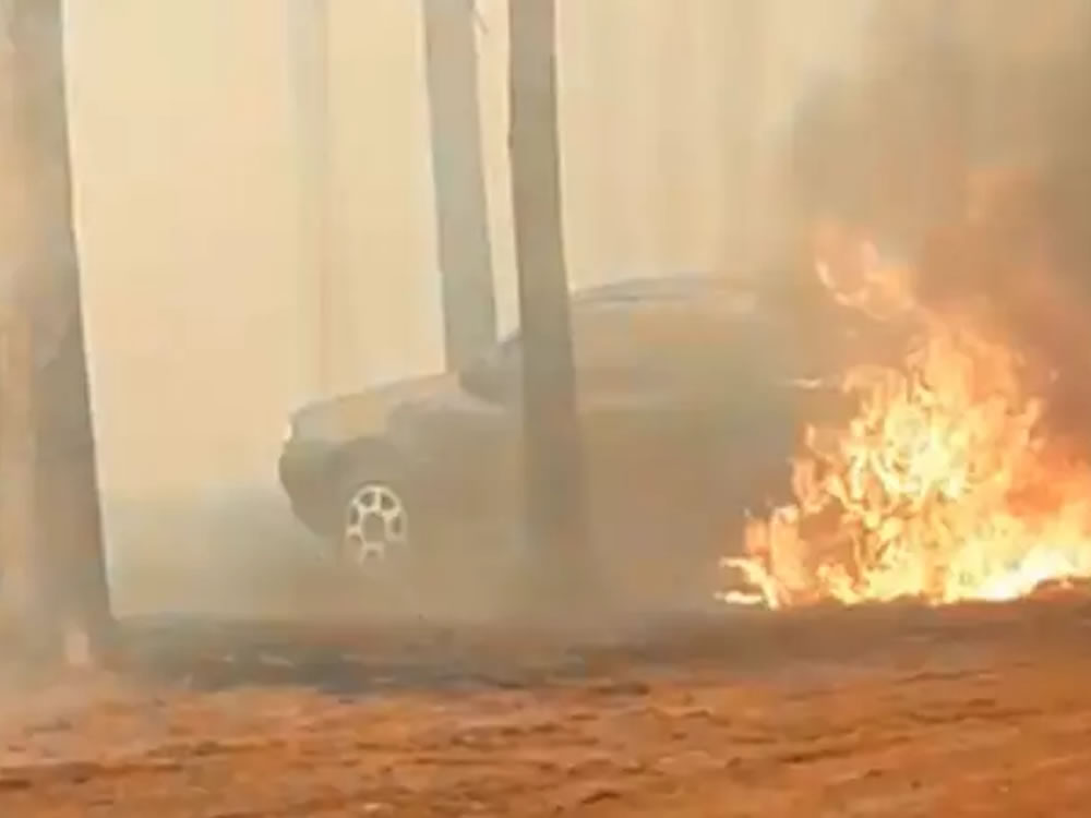 Imagem de Incêndio atinge usina de cana em Maurilândia
