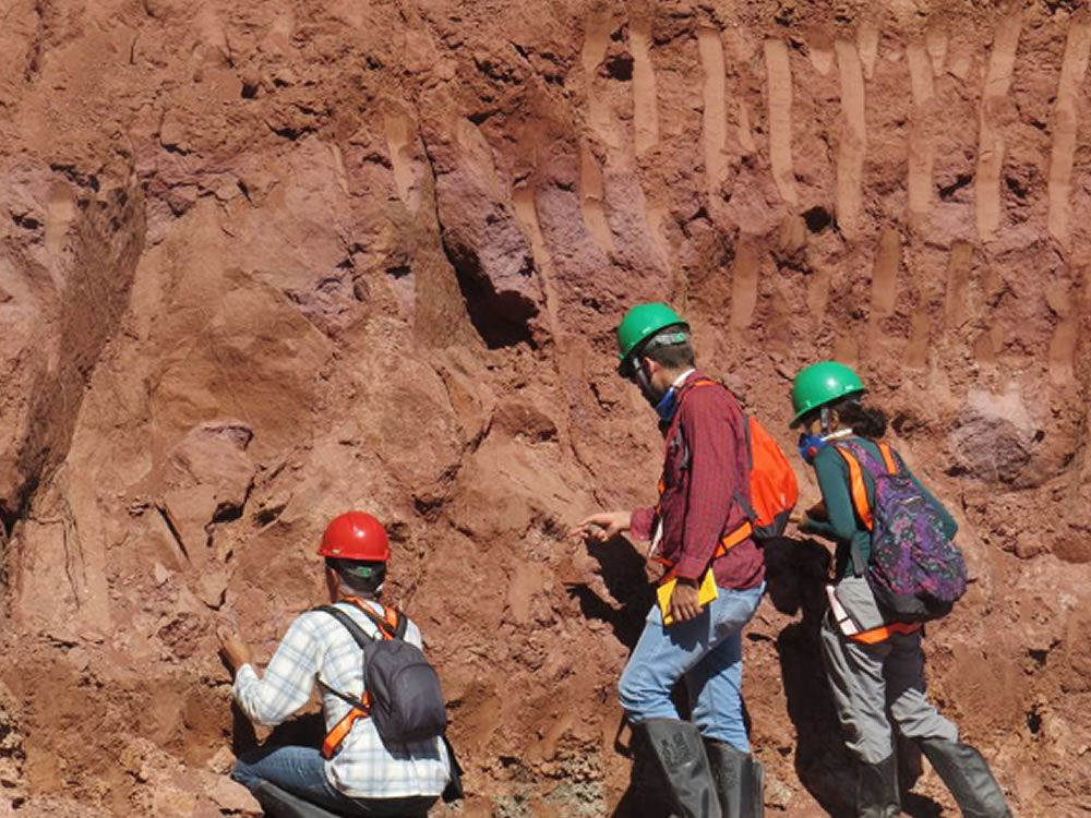 Imagem de Expedição da UEG encontra fósseis de dinossauros em  Rio Verde