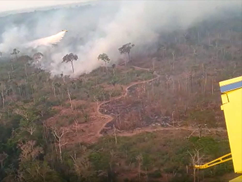 Imagem de Empresa rio-verdense ajuda em frente contra queimadas pelo Brasil