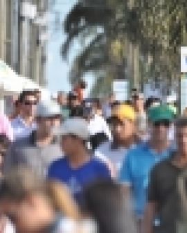 Imagem de Prêmio de Gestão Ambiental Rural COMIGO será entregue na Tecnoshow