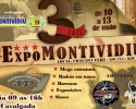 Imagem de Tudo pronto para a Expo Montividiu 2012