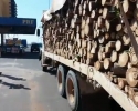 Imagem de Caminhão de madeira apreendido na BR-060
