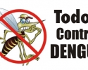 Imagem de Força-tarefa lançada contra a dengue