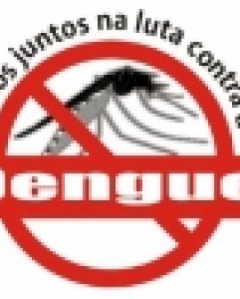 Imagem de Rio Verde adere ao ‘Síndico Dengueiro’