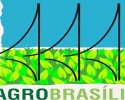 Imagem de BASF leva à Agrobrasília 2012 seu portfólio destinado aos cultivos extensivos