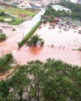 Imagem de Chuva forte provoca estragos em Rio Verde