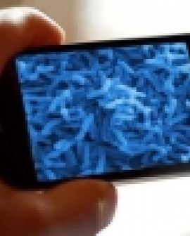 Imagem de Smartphones podem causar doenças?