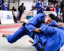 Imagem de Matrículas abertas para MMA, Jiu Jitsu e Taekwondo