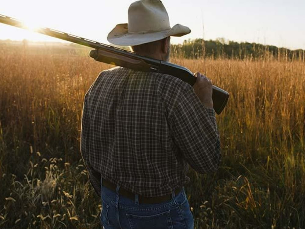 Imagem de Câmara aprova projeto que permite posse de arma em toda a propriedade rural