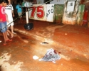 Imagem de Ladrões mortos no Bairro Popular