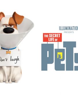 Imagem de Em cartaz: Pets – A vida secreta dos bichos 2