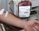 Imagem de Grupo apego incentiva doação de sangue