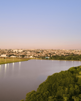 Imagem de Parque Dezinho: a pista onde o Interlagos aprendeu a se encontrar