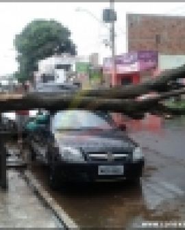 Imagem de Chuva e vento causam estragos em Rio Verde