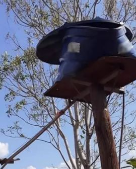 Imagem de Calor de 41°C faz caixa d'água derreter em Goiás