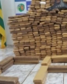 Imagem de PM apreende 600kg de maconha