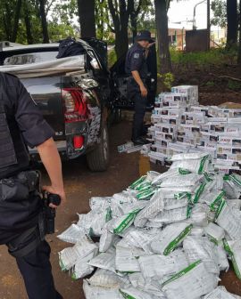 Imagem de Meia tonelada de produto para o refino de cocaína é apreendida em Rio Verde