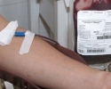 Imagem de Dia D para doação de sangue acontecerá neste sábado