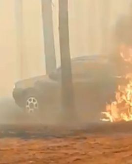 Imagem de Incêndio atinge usina de cana em Maurilândia