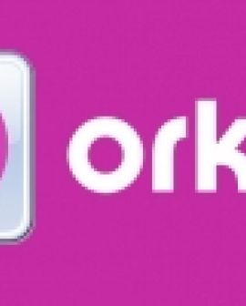 Imagem de Orkut deixa de ser a 3ª rede social mais visitada do Brasil