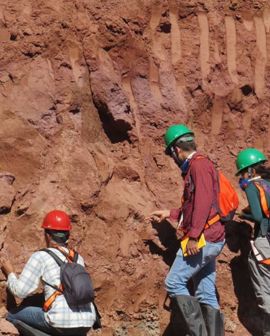 Imagem de Expedição da UEG encontra fósseis de dinossauros em  Rio Verde