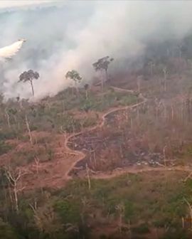 Imagem de Empresa rio-verdense ajuda em frente contra queimadas pelo Brasil