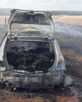 Imagem de Ação integrada entre a PRF e PM apreende veículo abarrotado de droga em Rio Verde