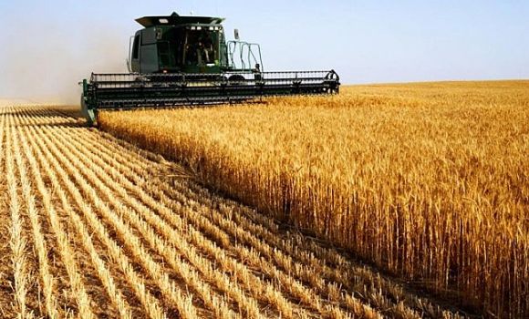 Imagem de Agro bate recorde no Brasil, e Rio Verde lidera exportações de Goiás