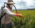 Imagem de Senar investe para reduzir acidentes com defensivos agrícolas