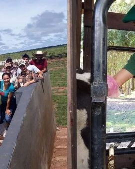 Imagem de Rio Verde recebe um dos cursos de Auxiliar Veterinário mais completos do mercado