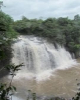 Imagem de Rio Verde sedia Fórum de Turismo da Região Agroecológica