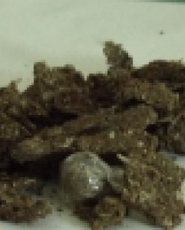 Imagem de Homem preso com maconha na Promissão