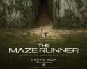 Imagem de Em cartaz: Maze Runner