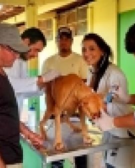 Imagem de Clínica Veterinária Itinerante acontece no Céu Azul