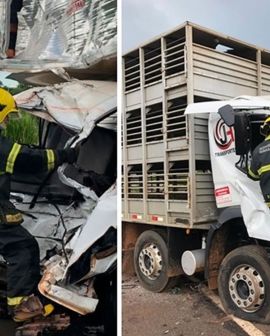 Imagem de Motorista de Rio Verde morre em acidente na BR-365