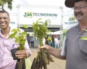 Imagem de Feira terá dia dedicado para ações de preservação do meio ambiente