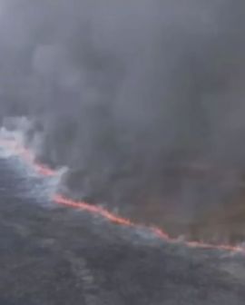 Imagem de Parte do Parque Nacional das Emas é destruído pelo fogo