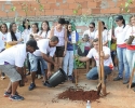 Imagem de Bairro promissão recebeu 'Plantando Água'