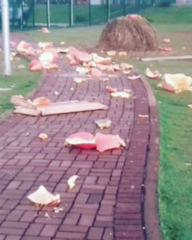 Imagem de Polícia identifica vândalos que depredaram Parque Dona Gercina, em Rio Verde