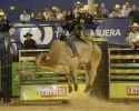 Imagem de Rodeio 2015: Segunda noite agitada