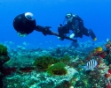 Imagem de Google mapeia mundo subaquático em Fernando de Noronha