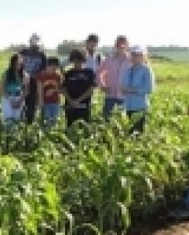 Imagem de Emater realiza Dia de Campo para estudantes em Rio Verde