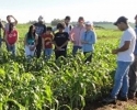 Imagem de Emater realiza Dia de Campo para estudantes em Rio Verde