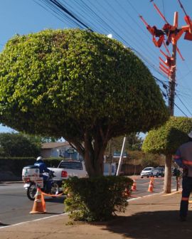 Imagem de Enel Distribuição Goiás realiza mutirão de ações preventivas na rede elétrica de Rio Verde