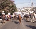 Imagem de Cinco mil pessoas participaram do Desfile de Cavaleiros