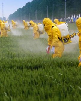 Imagem de “Coquetel” com 16 agrotóxicos foi achado na água de Rio Verde