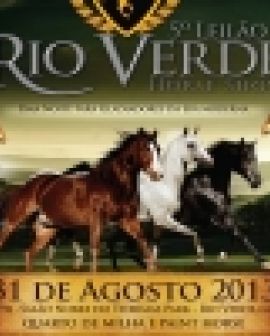 Imagem de Rio Verde sedia leilão de cavalos quarto de milha e paint horse