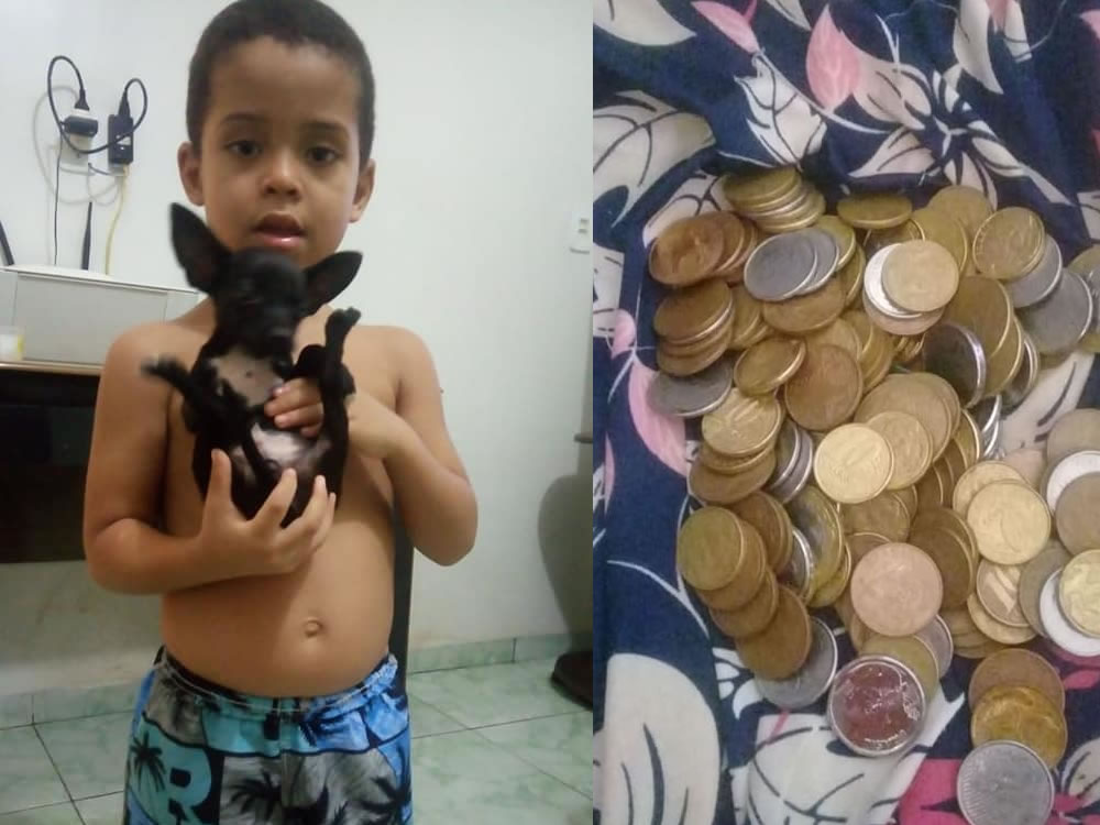 Imagem de Garoto oferece recompensa para quem achar o seu cachorro perdido em Rio Verde e post viraliza