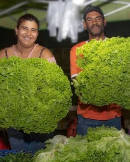 Imagem de Prefeitura inaugura feira da Vila Borges